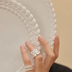 Christofle Dinner plate Babylone Porcelain
