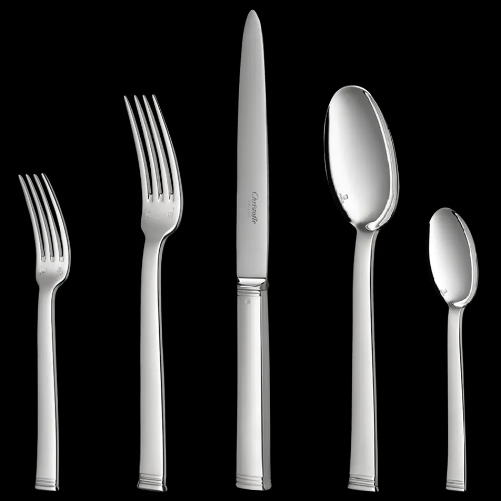 Christofle 110 Piece Silver-Plated Flatware Set with Chest