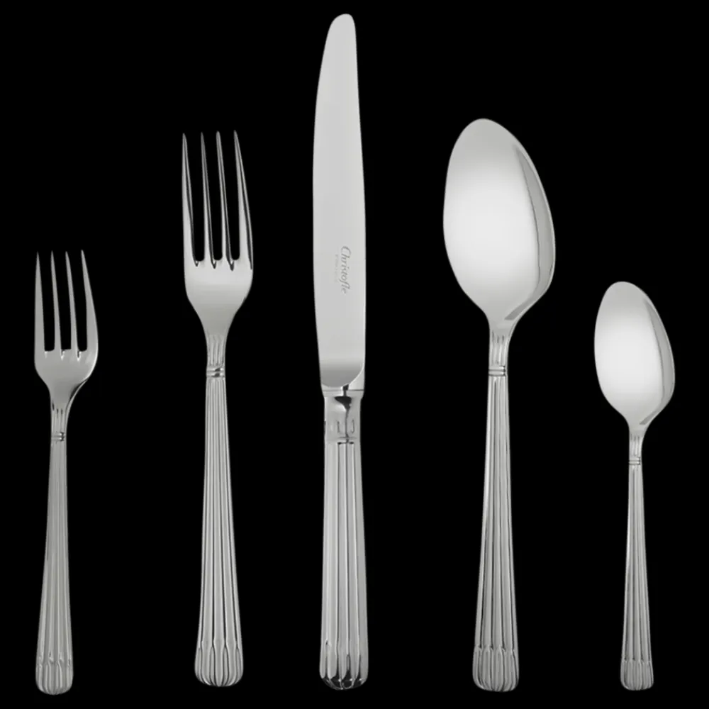 Christofle 75-Piece Stainless Steel Flatware Set with chest