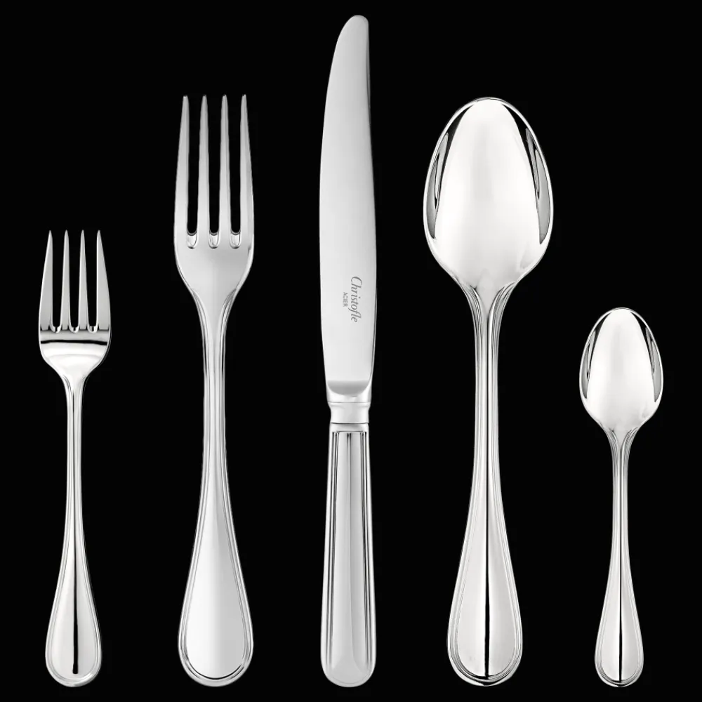 Christofle 110-Piece Stainless Steel Flatware Set with Chest