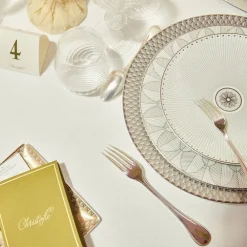 Christofle Porcelain Dinner plate Platinum Finish