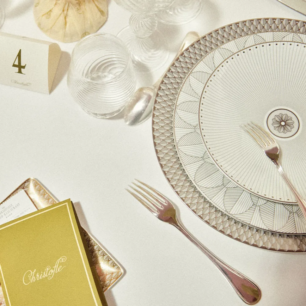 Christofle Porcelain Dinner plate Platinum Finish