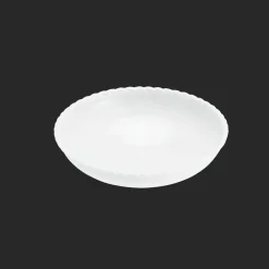 Christofle Porcelain Pasta Plate