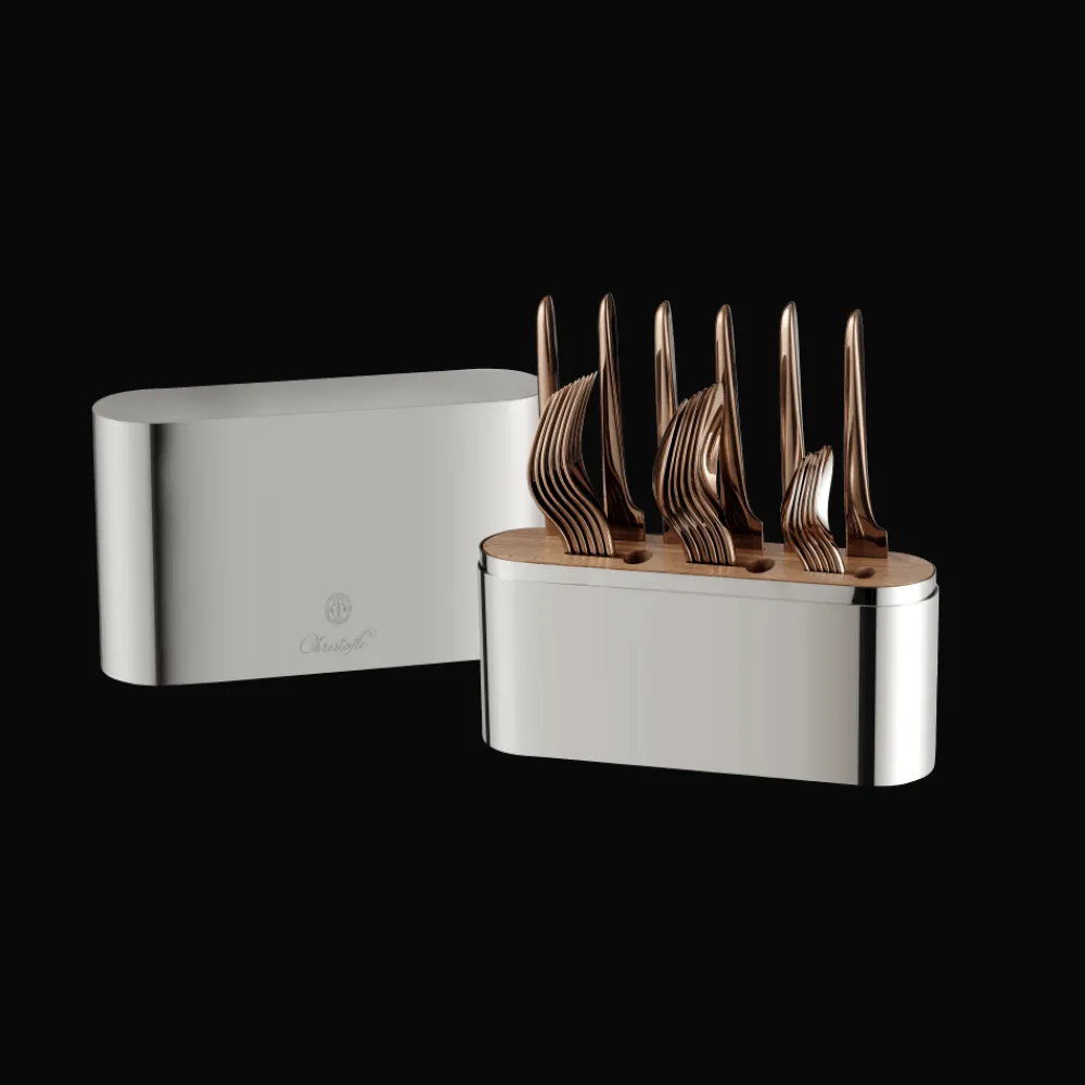Christofle Stainless Steel Case - 24-piece stainless steel (sold empty)