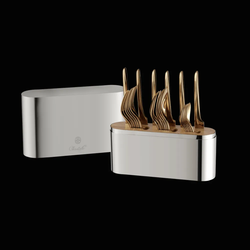 Christofle Stainless Steel Case - 24-piece stainless steel (sold empty)