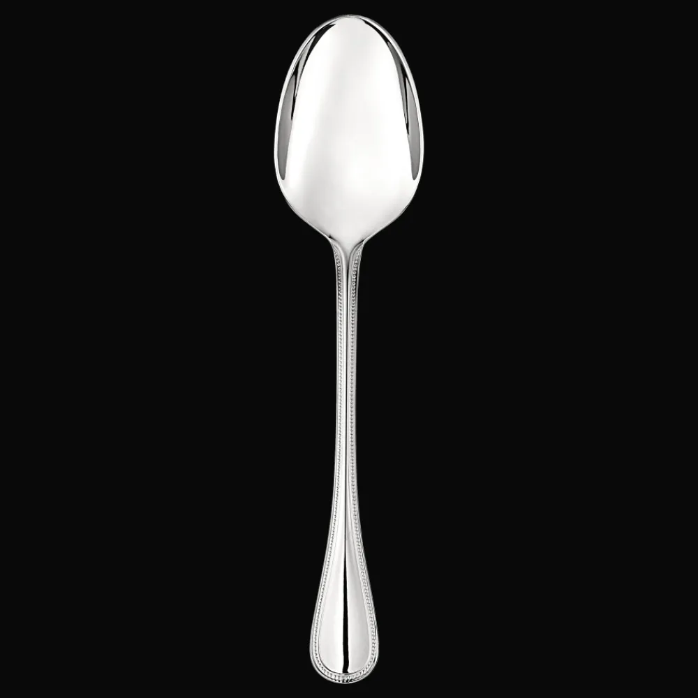 Christofle Stainless Steel Serving Spoon